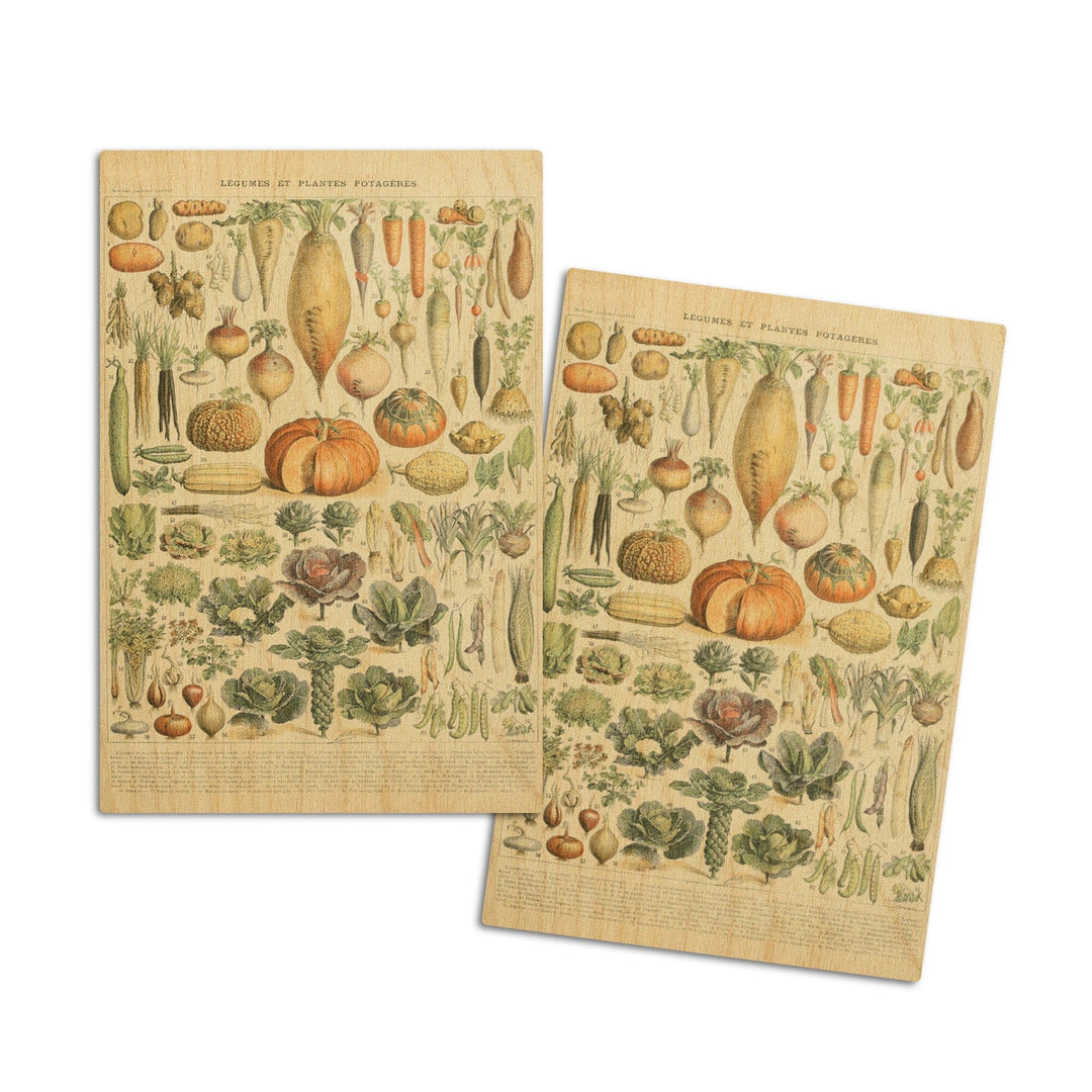Vegetables, A, Vintage Bookplate, Adolphe Millot Artwork, Wood Signs and Postcards Wood Lantern Press 4x6 Wood Postcard Set 