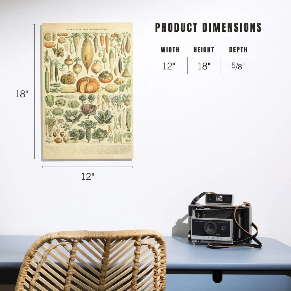 Vegetables, A, Vintage Bookplate, Adolphe Millot Artwork, Wood Signs and Postcards Wood Lantern Press 