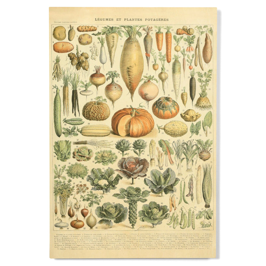 Vegetables, A, Vintage Bookplate, Adolphe Millot Artwork, Wood Signs and Postcards Wood Lantern Press 