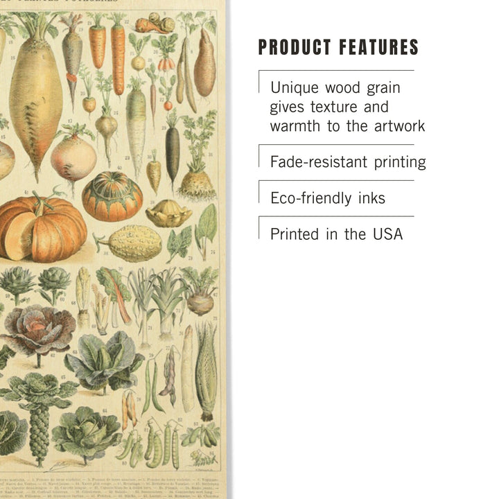 Vegetables, A, Vintage Bookplate, Adolphe Millot Artwork, Wood Signs and Postcards Wood Lantern Press 