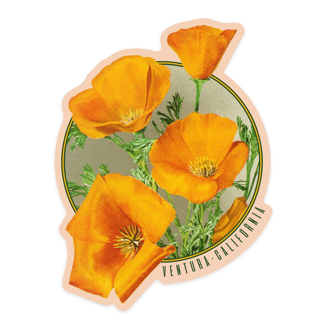 Ventura, California, Poppy Flowers, Contour, Vinyl Sticker Sticker Lantern Press 