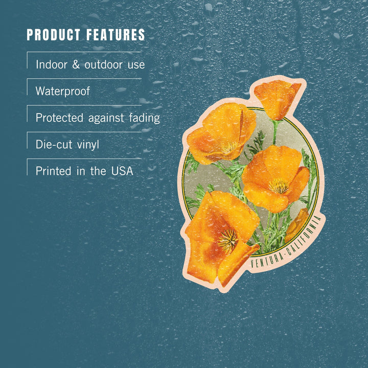 Ventura, California, Poppy Flowers, Contour, Vinyl Sticker Sticker Lantern Press 