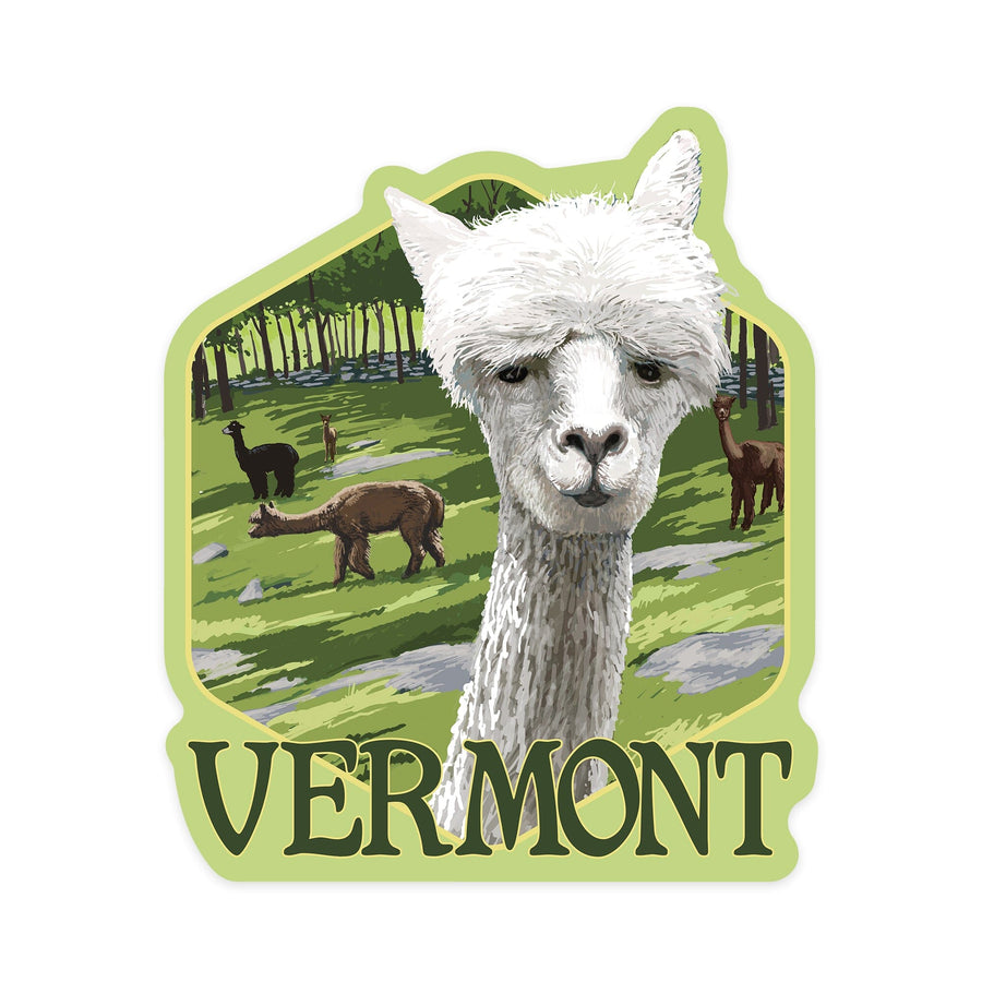 Vermont, Alpaca Scene, Contour, Vinyl Sticker Sticker Lantern Press 