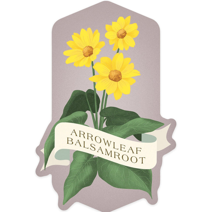 Vintage Flora, Arrowleaf Balsamroot, Contour, Vinyl Sticker Sticker Lantern Press 