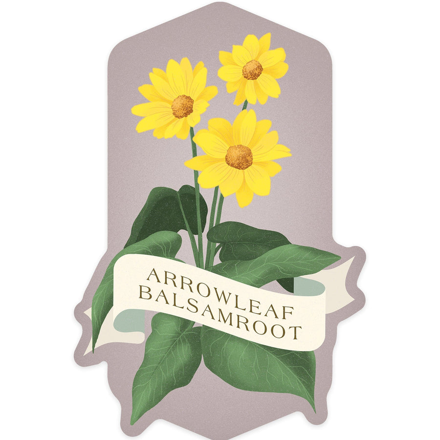 Vintage Flora, Arrowleaf Balsamroot, Contour, Vinyl Sticker Sticker Lantern Press 