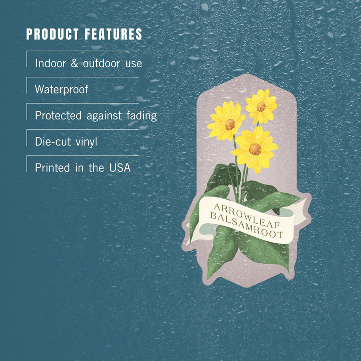 Vintage Flora, Arrowleaf Balsamroot, Contour, Vinyl Sticker Sticker Lantern Press 