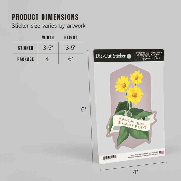 Vintage Flora, Arrowleaf Balsamroot, Contour, Vinyl Sticker Sticker Lantern Press 