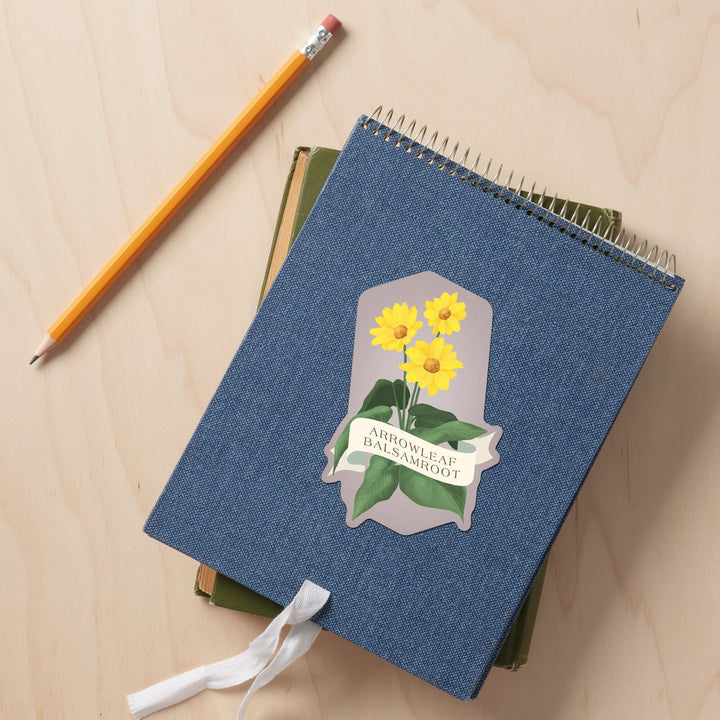 Vintage Flora, Arrowleaf Balsamroot, Contour, Vinyl Sticker Sticker Lantern Press 