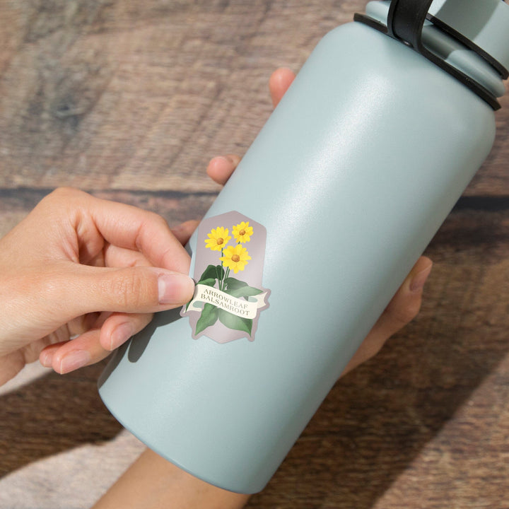 Vintage Flora, Arrowleaf Balsamroot, Contour, Vinyl Sticker Sticker Lantern Press 
