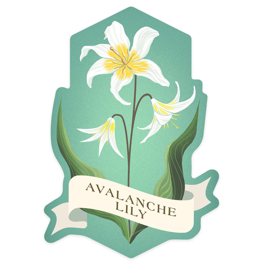Vintage Flora, Avalanche Lily, Contour, Vinyl Sticker Sticker Lantern Press 