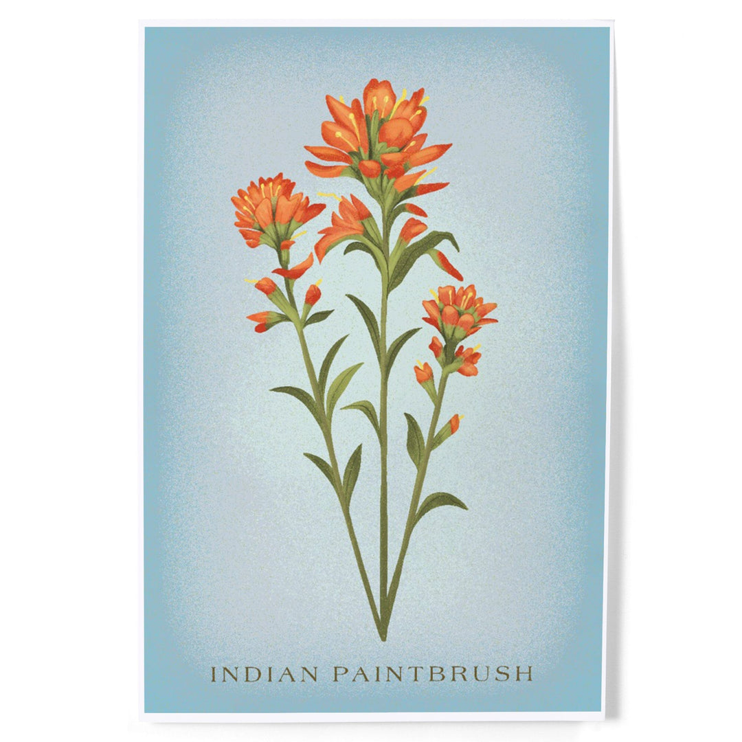 Vintage Flora, Indian Paintbrush, Art & Giclee Prints Art Lantern Press 