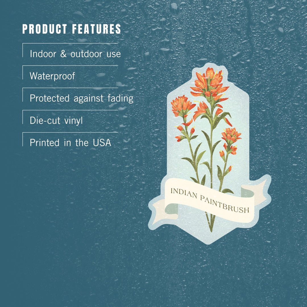 Vintage Flora, Indian Paintbrush, Contour, Vinyl Sticker Sticker Lantern Press 