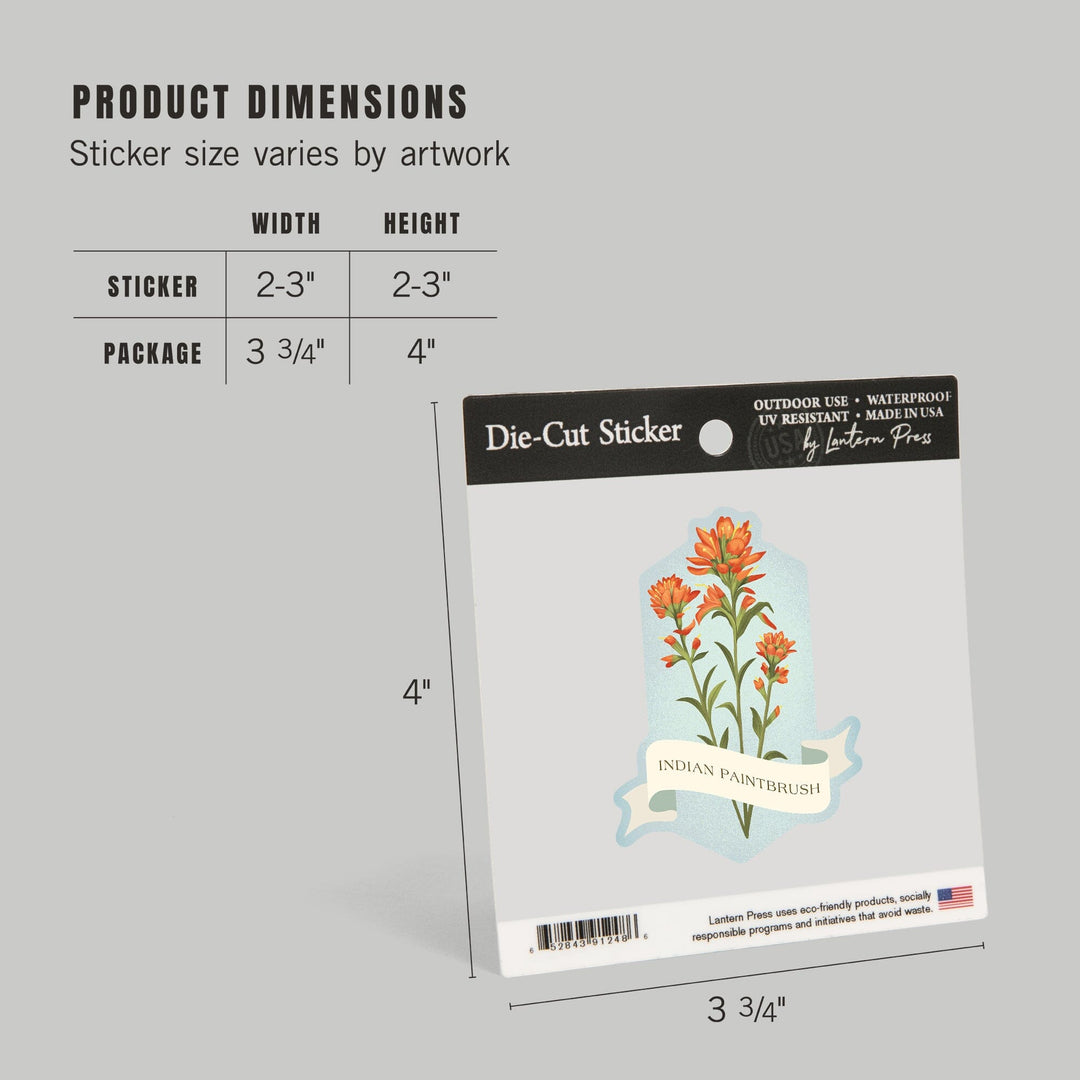 Vintage Flora, Indian Paintbrush, Contour, Vinyl Sticker Sticker Lantern Press 