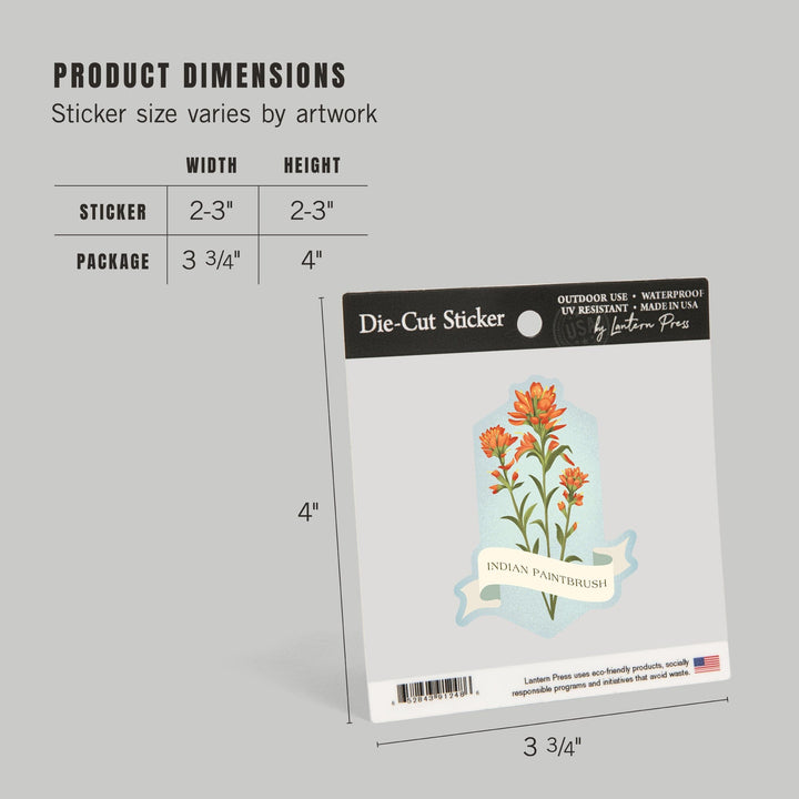 Vintage Flora, Indian Paintbrush, Contour, Vinyl Sticker Sticker Lantern Press 