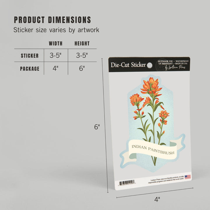 Vintage Flora, Indian Paintbrush, Contour, Vinyl Sticker Sticker Lantern Press 
