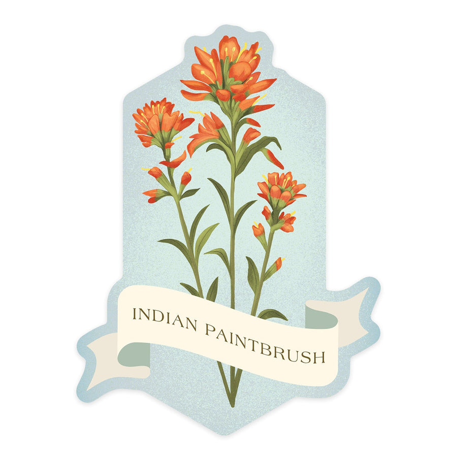 Vintage Flora, Indian Paintbrush, Contour, Vinyl Sticker Sticker Lantern Press 