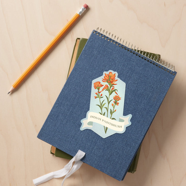 Vintage Flora, Indian Paintbrush, Contour, Vinyl Sticker Sticker Lantern Press 