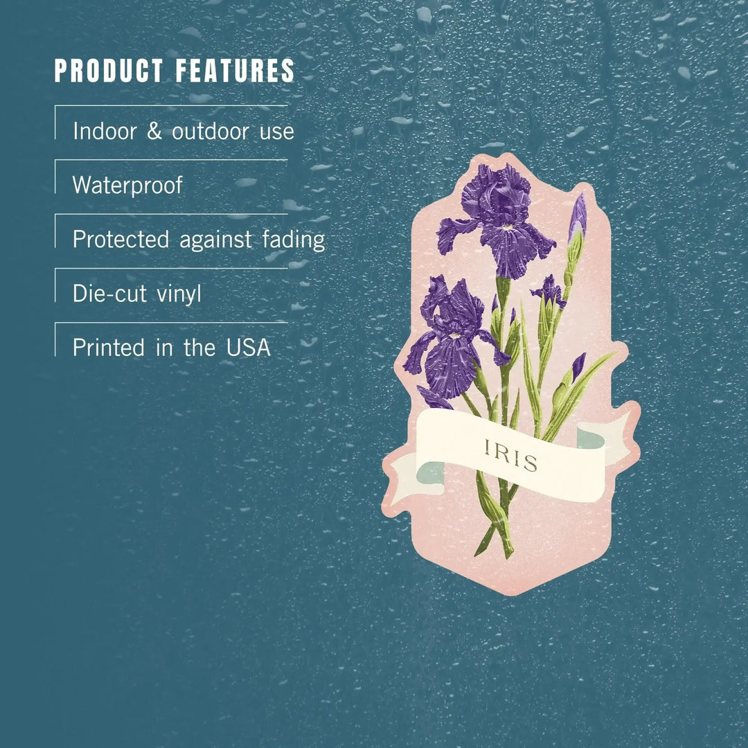 Vintage Flora, Iris, Contour, Vinyl Sticker Sticker Lantern Press 