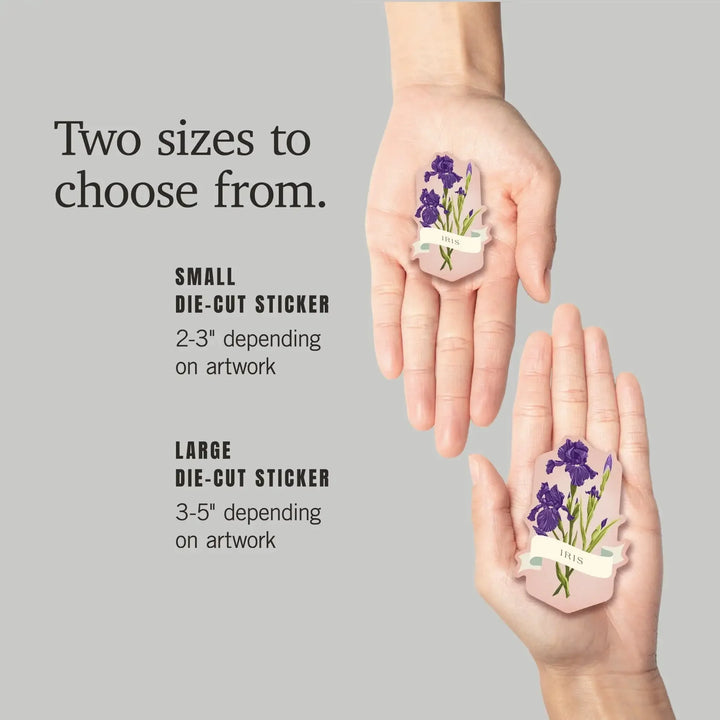 Vintage Flora, Iris, Contour, Vinyl Sticker Sticker Lantern Press 