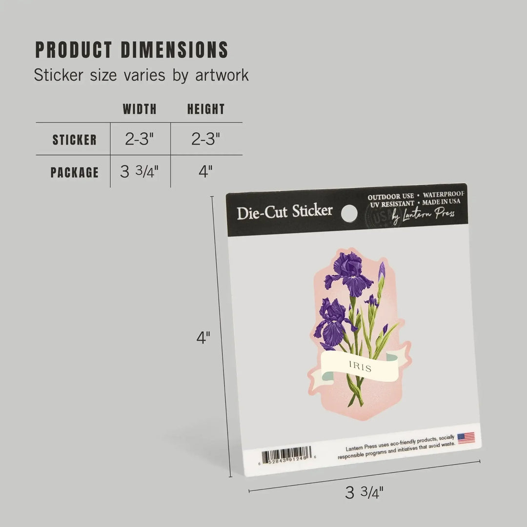 Vintage Flora, Iris, Contour, Vinyl Sticker Sticker Lantern Press 