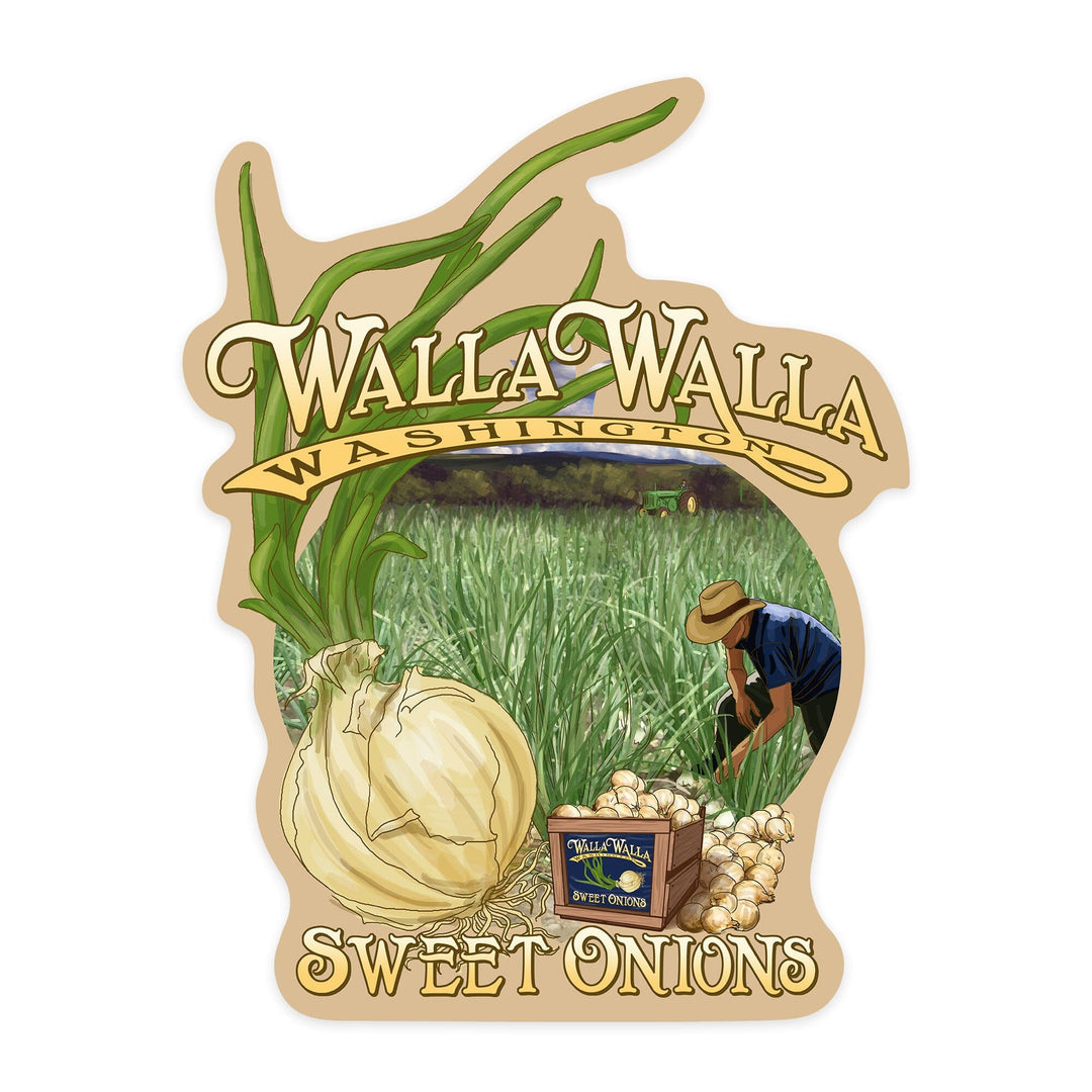 Walla Walla, Washington, Sweet Onions, Contour, Lantern Press Artwork, Vinyl Sticker Sticker Lantern Press 