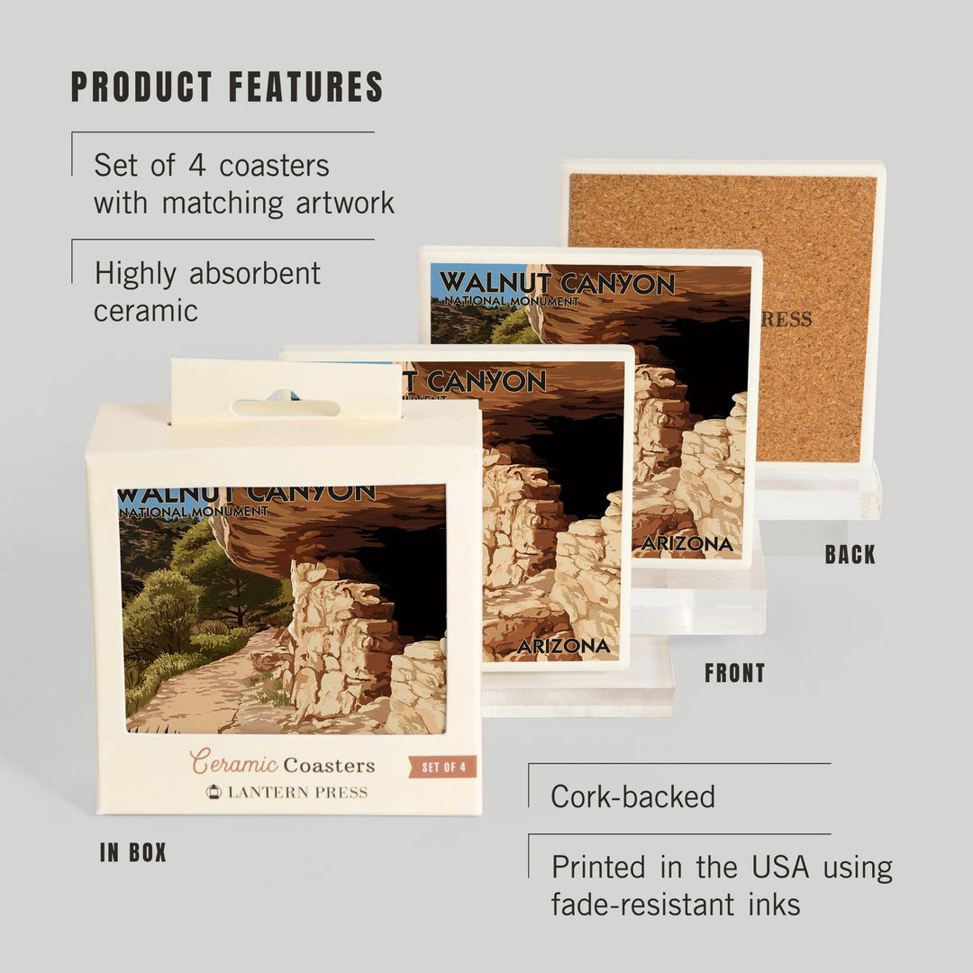 Walnut Canyon National Monument, Arizona, Lantern Press Artwork, Coaster Set Coasters Lantern Press 