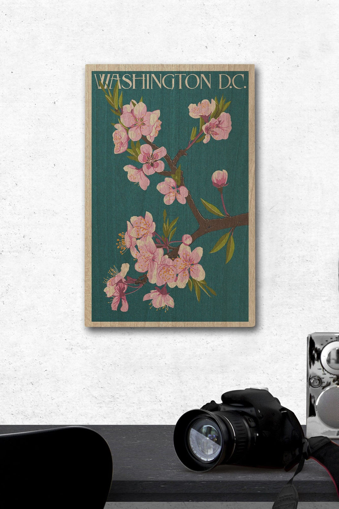 Washington DC, Cherry Blossoms, Lantern Press Artwork, Wood Signs and Postcards Wood Lantern Press 12 x 18 Wood Gallery Print 