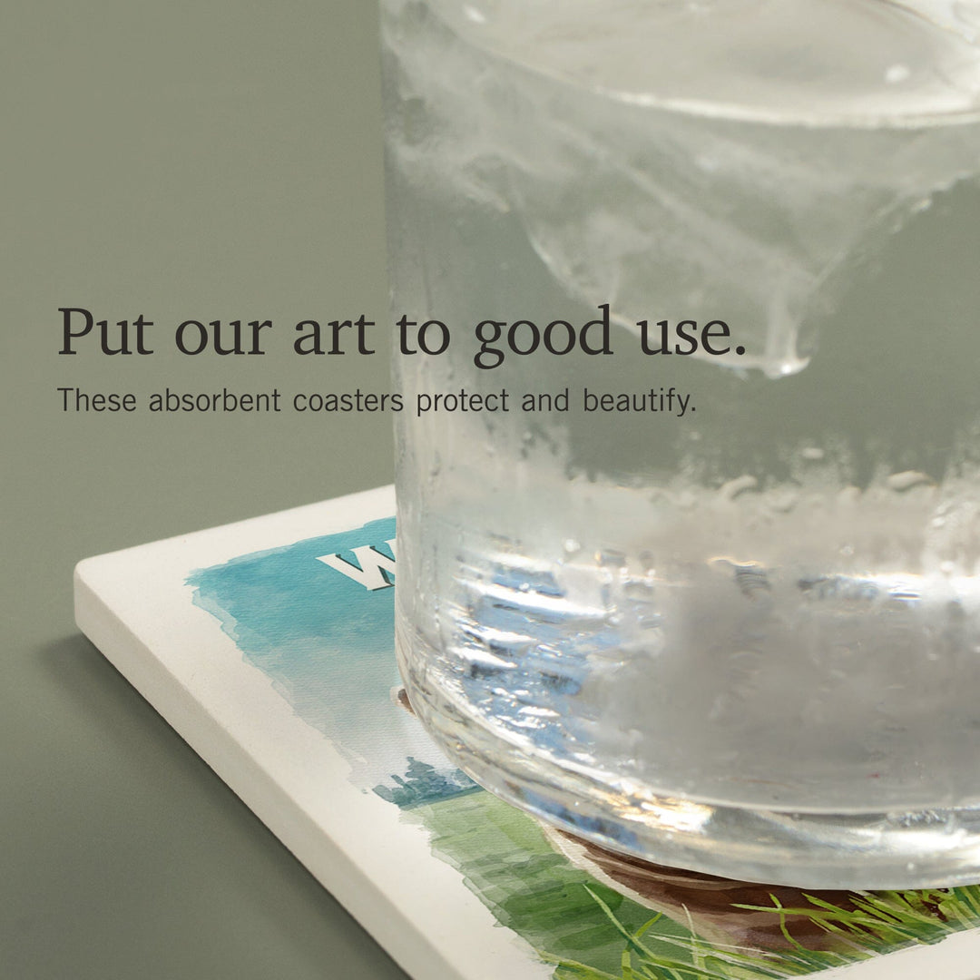 Washington, Watercolor Study, Grizzly Bear, Coasters Coasters Lantern Press 