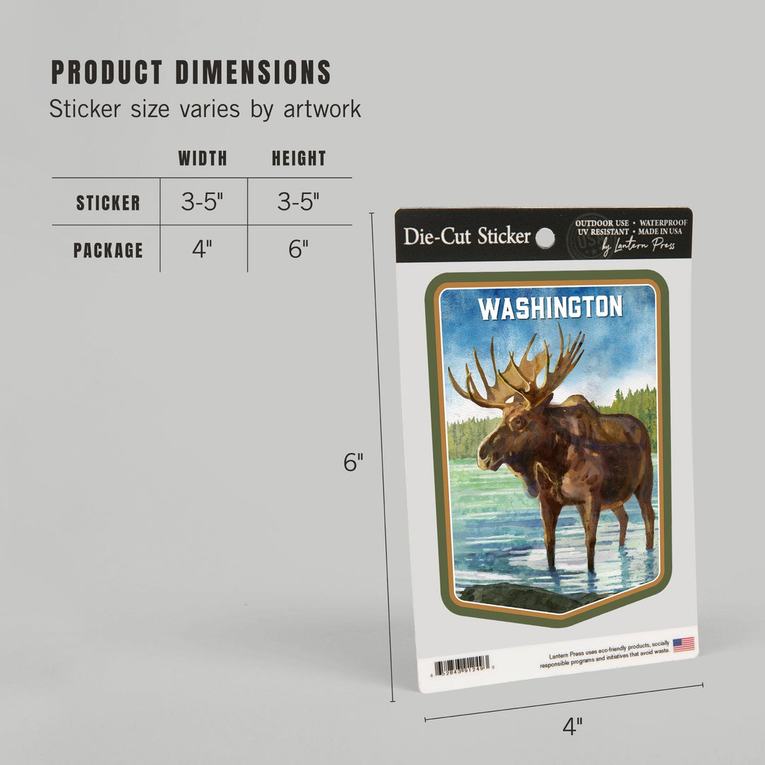 Washington, Watercolor Study, Moose, Contour, Vinyl Sticker Sticker Lantern Press 