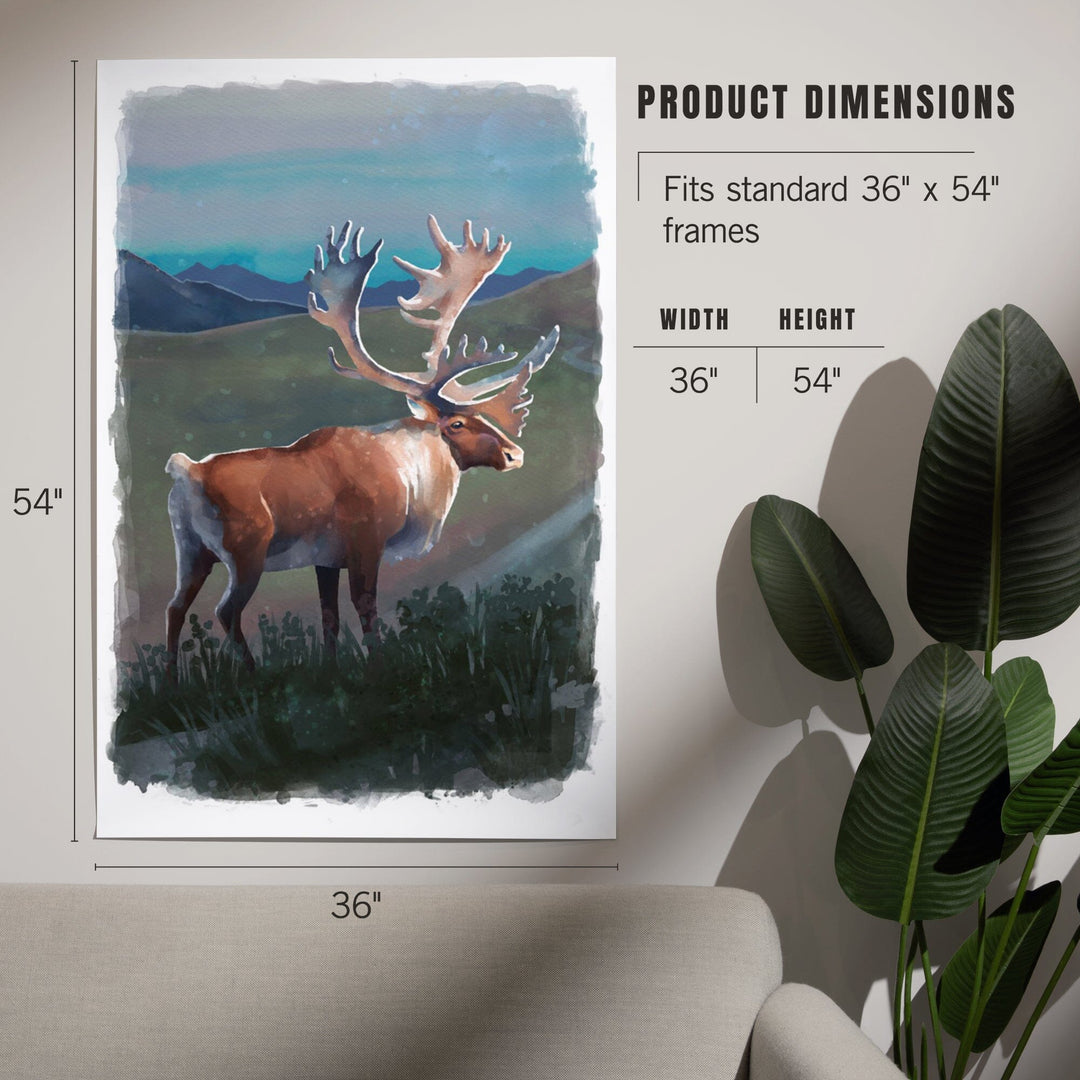 Watercolor Study, Caribou, Art & Giclee Prints Art Lantern Press 