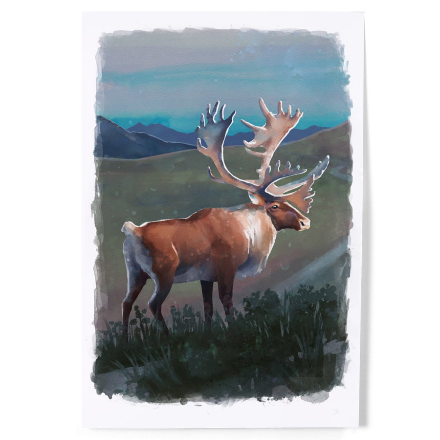 Watercolor Study, Caribou, Art & Giclee Prints Art Lantern Press 