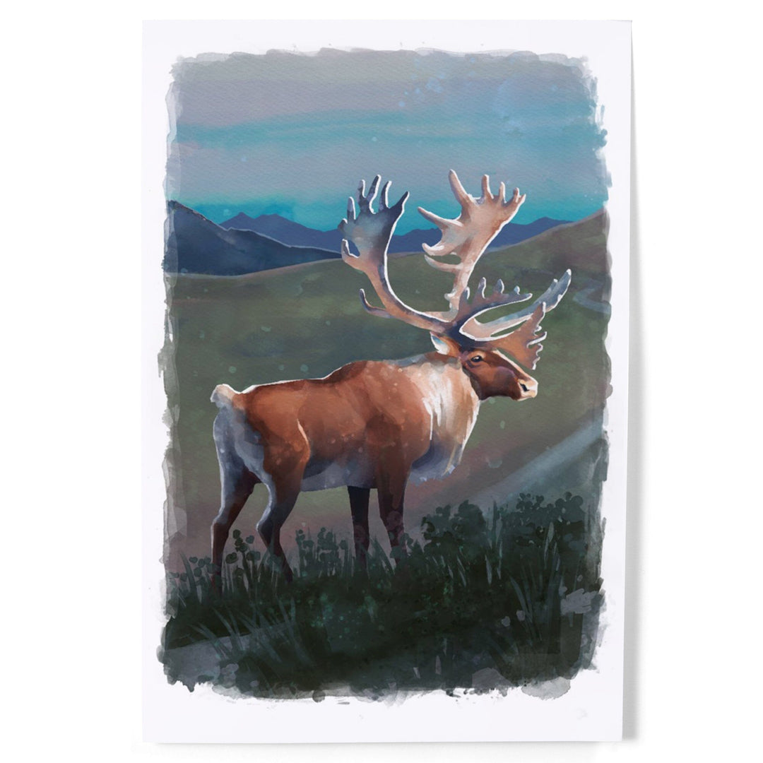 Watercolor Study, Caribou, Art & Giclee Prints Art Lantern Press 