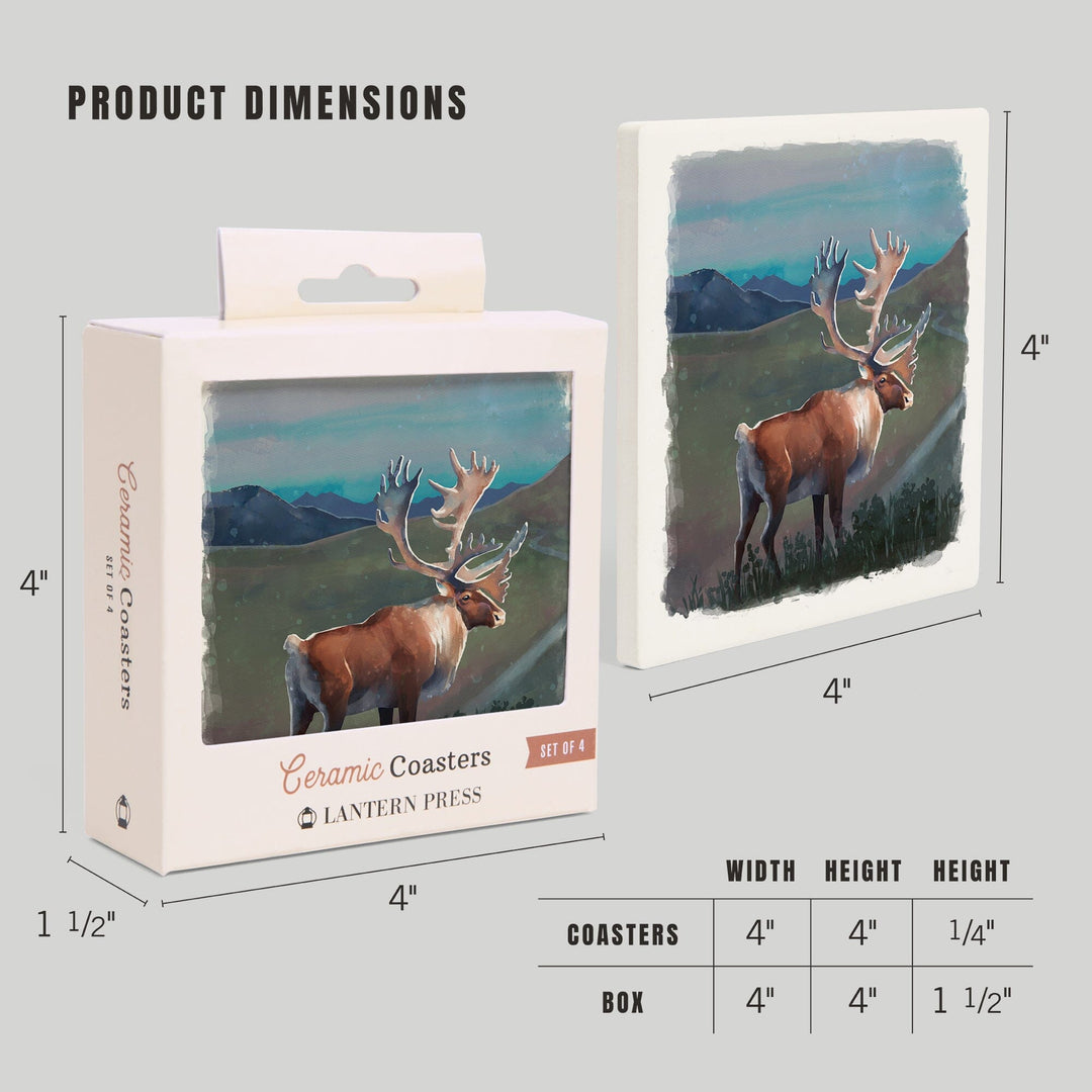 Watercolor Study, Caribou, Coasters Coasters Lantern Press 