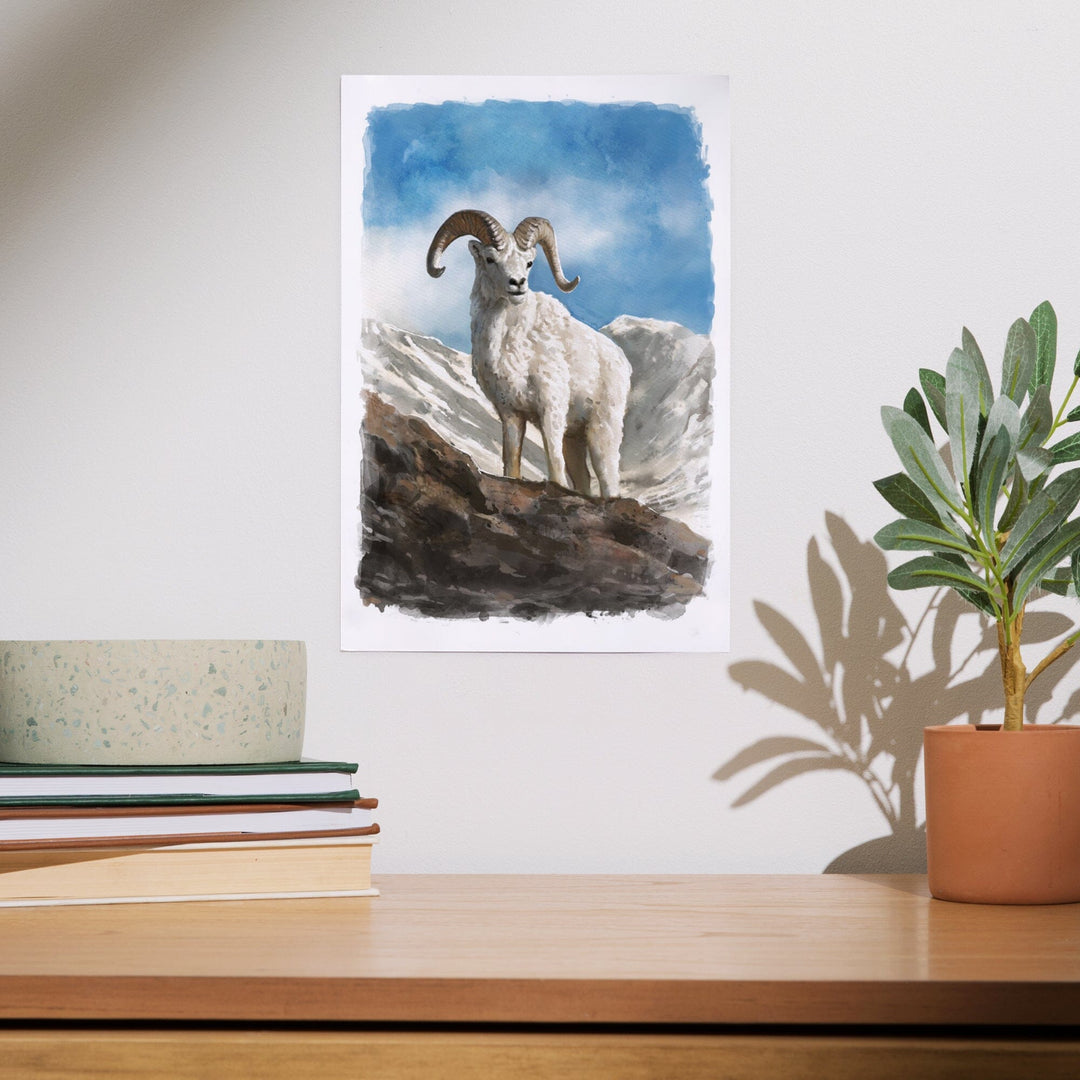 Watercolor Study, Dall Sheep, Art & Giclee Prints Art Lantern Press 