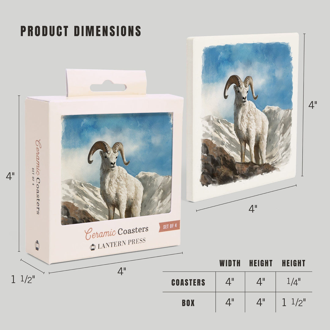 Watercolor Study, Dall Sheep, Coasters Coasters Lantern Press 
