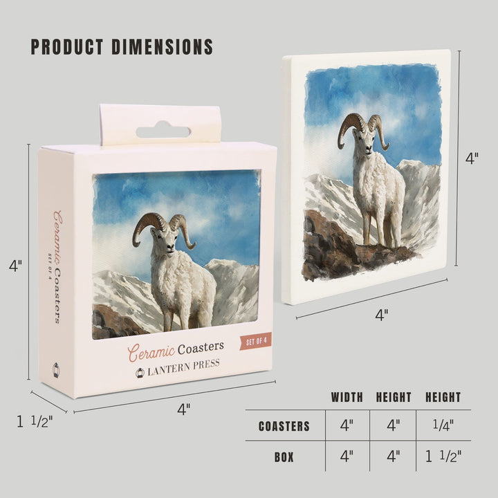 Watercolor Study, Dall Sheep, Coasters Coasters Lantern Press 