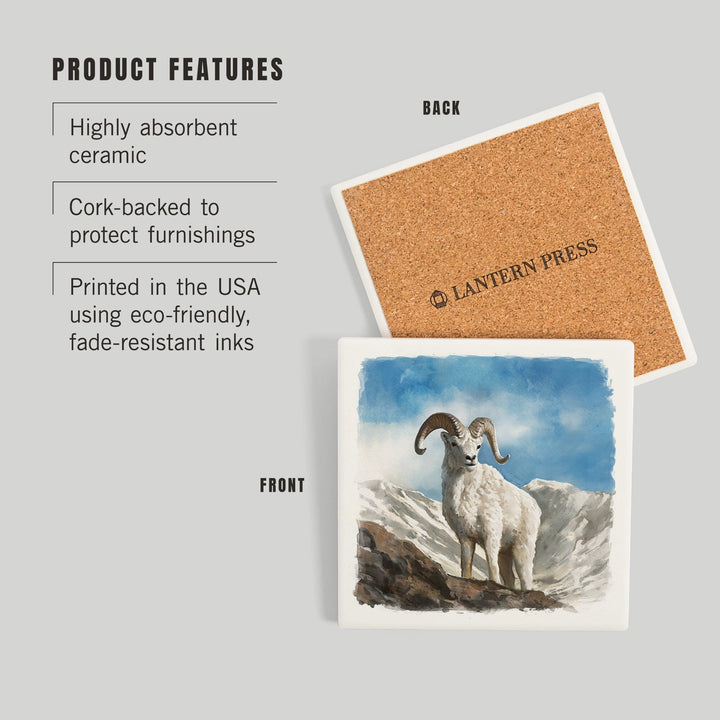 Watercolor Study, Dall Sheep, Coasters Coasters Lantern Press 