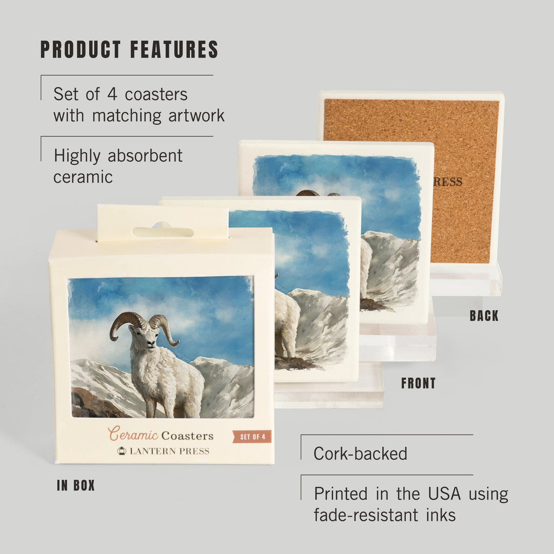 Watercolor Study, Dall Sheep, Coasters Coasters Lantern Press 