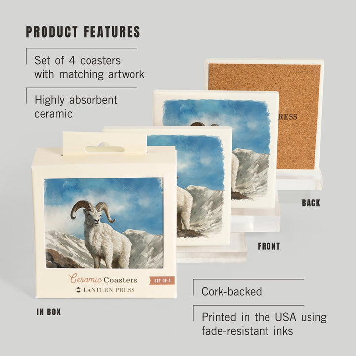 Watercolor Study, Dall Sheep, Coasters Coasters Lantern Press 