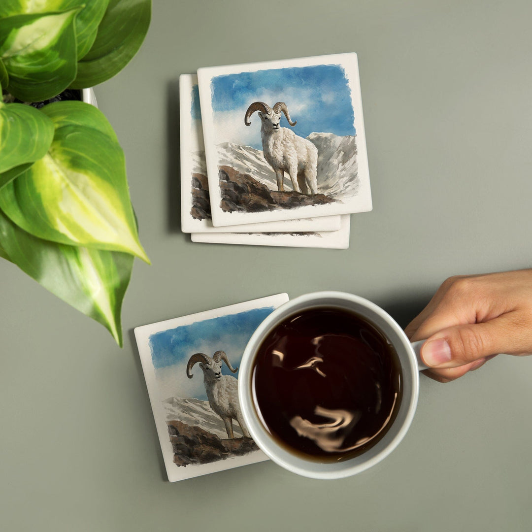Watercolor Study, Dall Sheep, Coasters Coasters Lantern Press 
