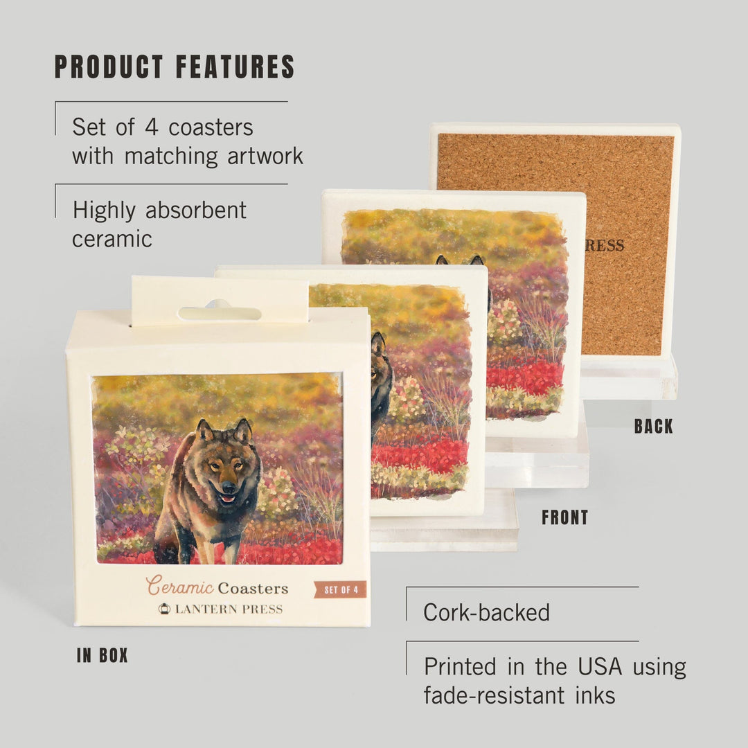 Watercolor Study, Gray Wolf, Coasters Coasters Lantern Press 