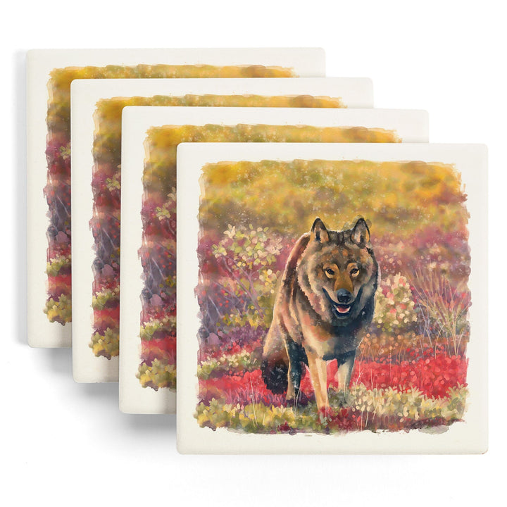 Watercolor Study, Gray Wolf, Coasters Coasters Lantern Press 