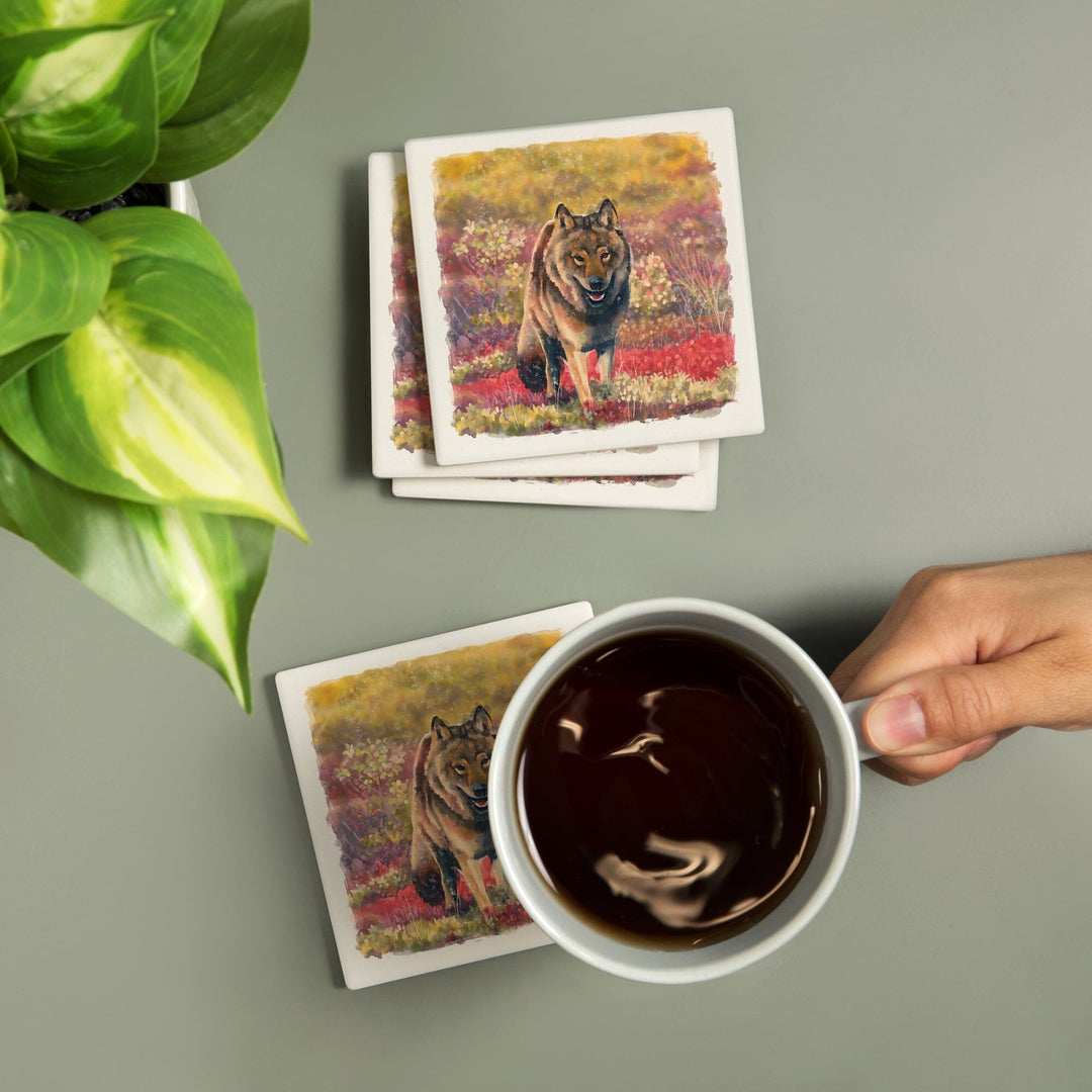 Watercolor Study, Gray Wolf, Coasters Coasters Lantern Press 