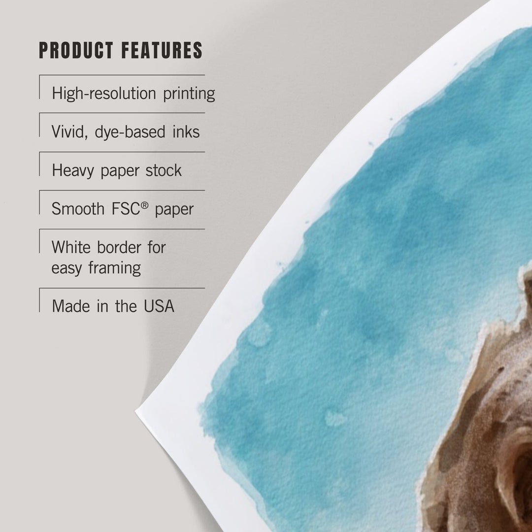 Watercolor Study, Grizzly Bear, Art & Giclee Prints Art Lantern Press 