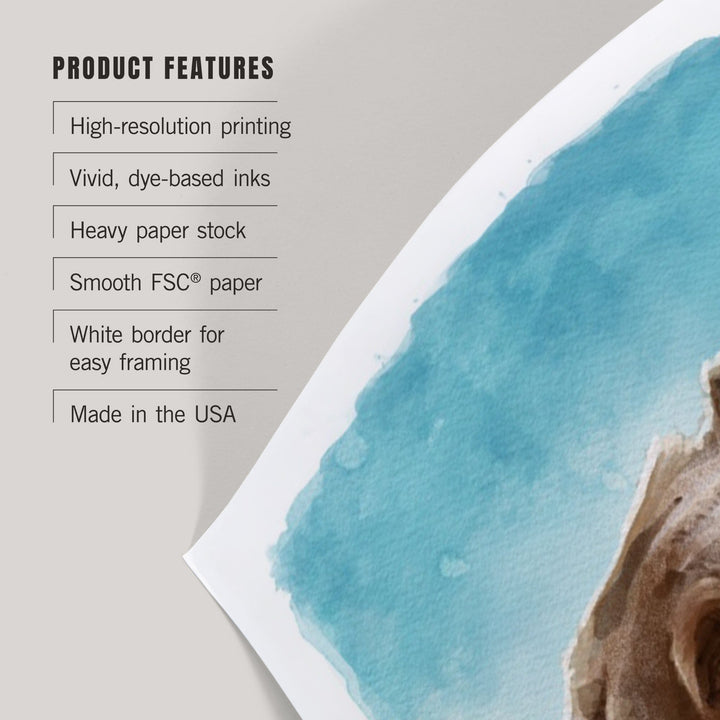 Watercolor Study, Grizzly Bear, Art & Giclee Prints Art Lantern Press 