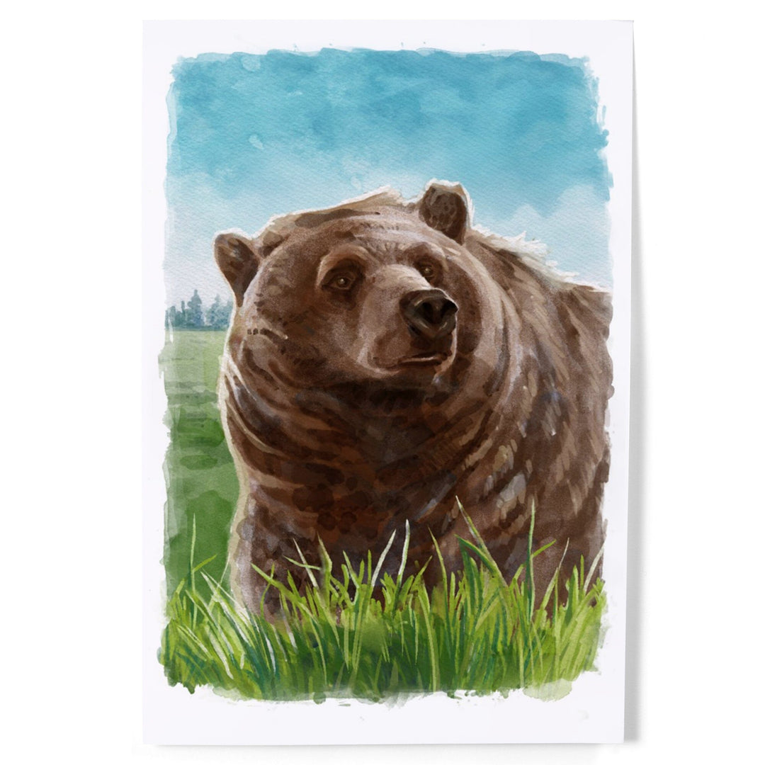 Watercolor Study, Grizzly Bear, Art & Giclee Prints Art Lantern Press 