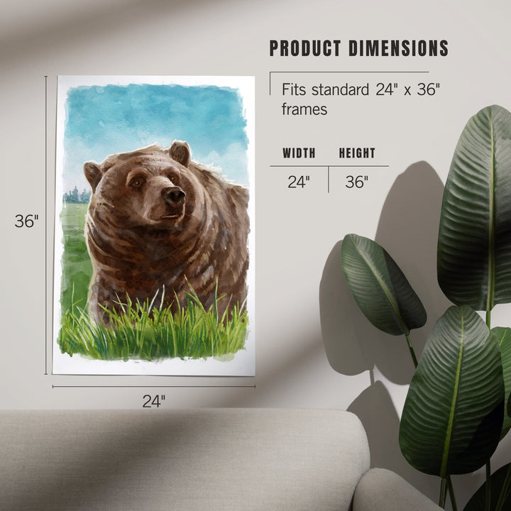Watercolor Study, Grizzly Bear, Art & Giclee Prints Art Lantern Press 