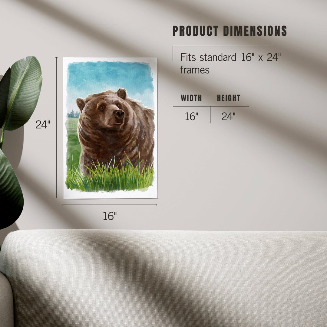 Watercolor Study, Grizzly Bear, Art & Giclee Prints Art Lantern Press 