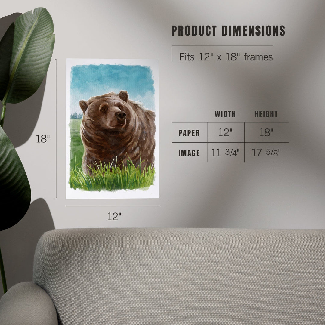 Watercolor Study, Grizzly Bear, Art & Giclee Prints Art Lantern Press 