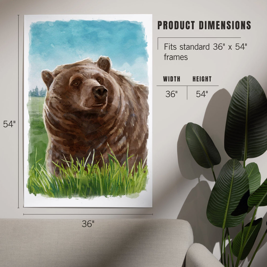 Watercolor Study, Grizzly Bear, Art & Giclee Prints Art Lantern Press 